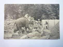 CEYLON  :  ELEPHANT At WORK  X   1912 - Sri Lanka (Ceylon)
