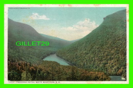 WHITE MOUNTAINS, NH - FRANCONIA NOTCH - PHOSTINT CARD - DETROIT PHOTOGRAPHING CO - - White Mountains