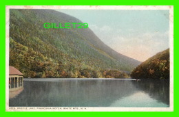 WHITE MOUNTAINS, NH - PROFILE LAKE, FRANCONIA NOTCH - PHOSTINT CARD - DETROIT PHOTOGRAPHING CO - - White Mountains