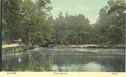 Baarn, Pekingkom - Baarn