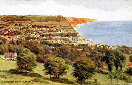 A R QUINTON - SALMON ART 4058 - SIDMOUTH FROM PEAK HILL - Quinton, AR