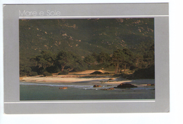 Delcampe - S2737 POSTCARD: Corse, Mare E Sole - Ed. Desso _ Ecrite 1987 - Corse