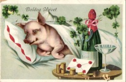 T2/T3 Boldog Újévet / New Year, Pig, Money, Champagne, Litho (EB) - Unclassified