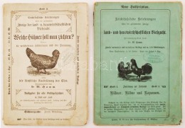 Anleitung Zur Aufzucht Der Hühner, Hähne Und Kapaunen: Aufzucht, Vermehrung Und Mästung In Stadt Und... - Unclassified