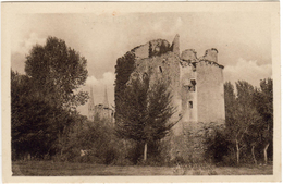 MACHECOUL : Ruines Du Château De Gilles De Retz Dit Barbe Bleue (F. Chapeau éditeur N° 364) - Machecoul