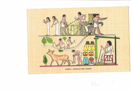 Cpm - Métier - THEBES - Egypte Egyptien - Agriculture Scenes - Paysan Moisson Labour Boeuf Attelage - 1971 - Personnes