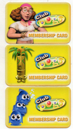 3 CARTES JEUX  Club Pogo  3 GAME CARDS   Club Pogo - Autres & Non Classés