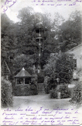 Robinson.  Le Grand Arbre - Sceaux