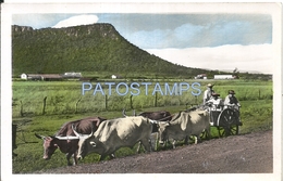 66102 PARAGUAY COSTUMES CART A COW CARRETA POSTAL POSTCARD - Paraguay