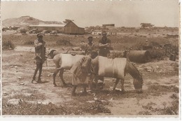 AFRICA - ERITREA - DECAMERE YOUNG KIDS WITH DONKEY - RPPC 1930s ( 830 ) - Eritrea