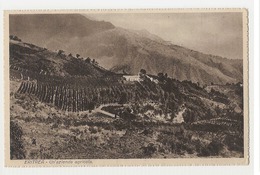 AFRICA - ERITREA - A FARM - 1920s ( 797 ) - Eritrea