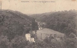 Dep 22 - Tonquédec - La Vallée De Guer  ( Vue Prise Du Château )   : Achat Immédiat - Tonquédec