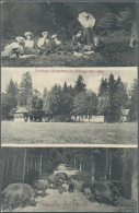 1900 - 1960 (ca.), Etwa 2.900 Ansichtskarten In Zwei Sammel-Kartons. Ausschließlich Aus Dem Harz, Fast Alle... - Autres & Non Classés