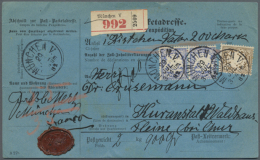 1882, Wappen 50 Pfg Und 2x 20 Pfg Vorderseitig Auf Auslandspaketkarte Mit Vorderseitig Rotem Lacksiegel Aus... - Sonstige & Ohne Zuordnung