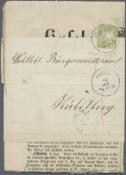 1879, 3 Pfg. Weite Welle (unauffällige Mängel), Gestempelt KUSEL / 13.1. (1880) Auf Zeitungsschleife... - Sonstige & Ohne Zuordnung