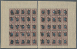 1918, Podolia Overprints On The 50 K Definitive Either Type XIII B Or XV B, In A Very Worn State, Two Complete... - Oekraïne