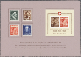 1934/2012, 125 überwiegend Hochwertige Blockausgaben, Dabei Mehrere FDCs, Wie Etwa Pro Patria Block 2 FDC (Mi.... - Autres & Non Classés