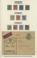 1907/2014: Sehr Umfangreiche Spezialsammlung Der Frei-, Sonder- Und Werbemarken Sowie Der Blockausgaben (ab Bl. 1... - Autres & Non Classés