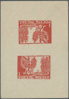 1942/1946, Woldenberg, Lübeck, Murnau, Gross-Born, Dachau, Ettlingen, Freimann, Collection Of Apprx. 90 Stamps... - Prisoner Camps