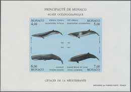 1993, Whales, IMPERFORATE Souvenir Sheet, 20 U/m Copies. Maury BF62 Nd - 4.500,- €. (D) - Andere & Zonder Classificatie