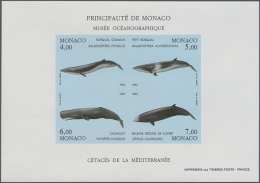 1993, Whales, IMPERFORATE Souvenir Sheet, 23 U/m Copies. Maury BF62 Nd - 5.175,- €. (D) - Andere & Zonder Classificatie