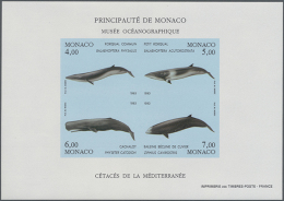 1993, Whales, IMPERFORATE Souvenir Sheet, 23 U/m Copies. Maury BF62 Nd - 5.175,- €. (D) - Other & Unclassified