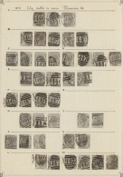 1874/1878, 6d. Grey, Wm Spray Of Rose (SG 147), Specialised Assortment Of 131 Stamps. (D) - Autres & Non Classés