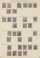 1865/1867, 6d. Lilac, Wm Emblems (SG 96/97), Specialised Assortment Of 208 Stamps. (D) - Autres & Non Classés