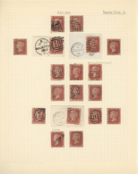 1855/1862 (ca.), Specialised Collection Of Apprx. 580 Stamps Of 1d. Red Perforated, Few Blued Paper But Chiefly No... - Autres & Non Classés