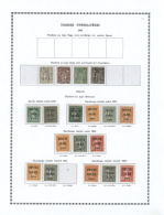 1893/2005, Very Nice Collection Of The French Precancelations On Preprinted Pages, Starting With 4 Copies Of Type... - Andere & Zonder Classificatie