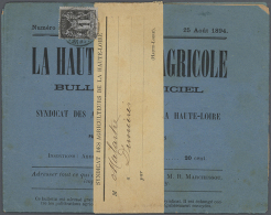 1877/1900, Very Useful Collection Of 24 Newpapers And Wrappers All Franked With Stamps Of The "Sage"-issue.... - Autres & Non Classés