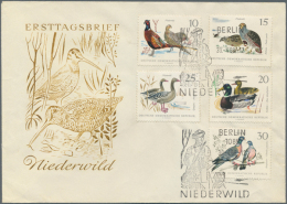 1960/2000 (approx), Various Countries. Accumulation Of 79 Items (also Multiple) Showing A Great Variety Of BIRDS... - Andere & Zonder Classificatie