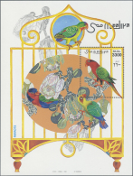 1960/2000 (approx), Various Countries. Accumulation Of 107 Items (also Multiple) Showing A Great Variety Of BIRDS... - Andere & Zonder Classificatie
