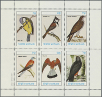 1960/2000 (approx), Various Countries. Accumulation Of 110 Items (also Multiple) Showing A Great Variety Of BIRDS... - Other & Unclassified