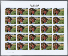 1988, Morocco. Progressive Proofs Set Of Sheets For The Issue HORSE WEEK. The Issue Consists Of 1 Value Showing... - Andere & Zonder Classificatie
