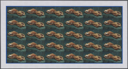 1974, Cook Islands. Progressive Proofs Set Of Sheets For The 8c Value Of The SEA SHELLS Issue Showing "Bursa... - Other & Unclassified