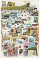 1920/1990 (ca.), WILDLIFE, Comprehensive Collection/accumulation Of Apprx. 1.500/2.000 Stamps (estimation) In Two... - Other & Unclassified