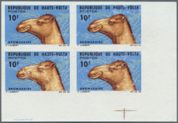 1970/2006 (ca.), Assortment Of 36 Positions Incl. Specialities (imperfs., Proofs, Epreuve) On Presentation Cards.... - Other & Unclassified