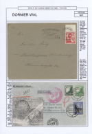 1910/1995 (ca.), Ausstellungs-Sammlung "Fliegen" Auf Albenblättern In 4 Ordnern Und Einem Doubletten-Steckbuch... - Avions