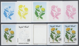 1986, Morocco. Progressive Proofs (8 Phases) For The 1d Value "Warionia Saharae" Of The Flower Series. There Are... - Other & Unclassified