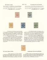 1863/1865, Specialised Collection Of The Eagle Issue (Michel Nos. 7/11, Scott Nos. 10/14), Neatly Arranged On... - Venezuela