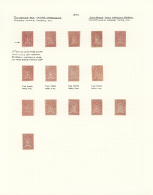 1859/1860, Specialised Collection Of The 2r. Red Coarse Impression, Neatly Mounted On Written Up Pages, Comprising... - Venezuela