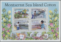 1985/1986. Lot Of 500 Souvenir Sheets "Cotton Industry" Containing 4 Stamps Each With Specimen Overprint (Sc #572a)... - Montserrat