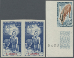 1942/1970, Collection Of 55 Imperforated Stamps (mainly Different), Incl. Nice Thematics Like Animals And... - Mauritanië (1960-...)