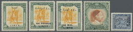 1951/1974, U/m Collection On Stockpages, Well Collected Throughout Incl. 1951 Overprints Complete (three Issues),... - Libya