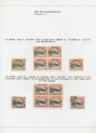 1894/1896, Specialised Collection Of 88 Stamps Of The 2nd Pictorials, Mounted On Written Up Pages, Showing Types,... - Andere & Zonder Classificatie