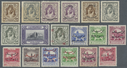 1920/2012, Only Mint Never Hinged Collection In 2 Big  Stockbooks, From The First Issues, From 1927 Complete With... - Jordanie