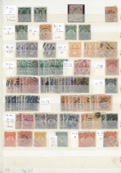 1866/1960 (ca.), Used And Mit Collection/accumulation On Large Stockcards, Well Sorted Throughout, Comprising Many... - Bolivië