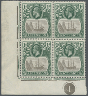 1924, KGV Definitives "Badge Of St.Helena", U/m Assortment Of 27 Stamps Mainly Within Units Incl. Flaws Like SG... - Ascension (Ile De L')