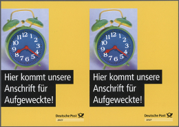 1949/2012. Sammlung Der Sonder-Postkarten Ab Bundestag Sauber In 2 Großf. Postkarten-Alben. Zumeist Doppelt... - Autres & Non Classés